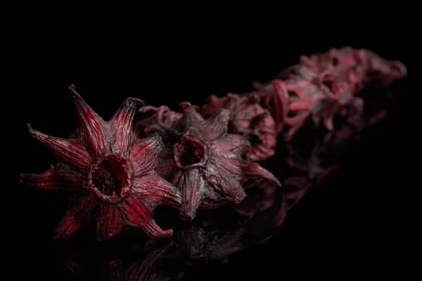 Kanderad hibiskus isolerad på svart glas — Stockfoto