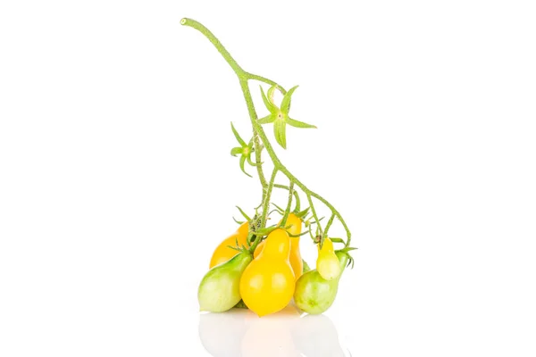 Yellow pear tomato isolated on white — Stock Photo, Image