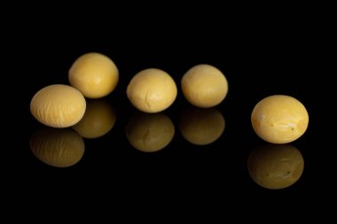 Ham sarı soya fasulyesi siyah cam izole