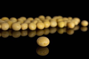 Ham sarı soya fasulyesi siyah cam izole