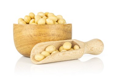 Ham sarı soya fasulyesi beyaz izole