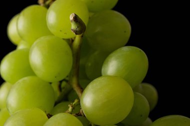 Yeşil şarap üzüm siyah cam izole