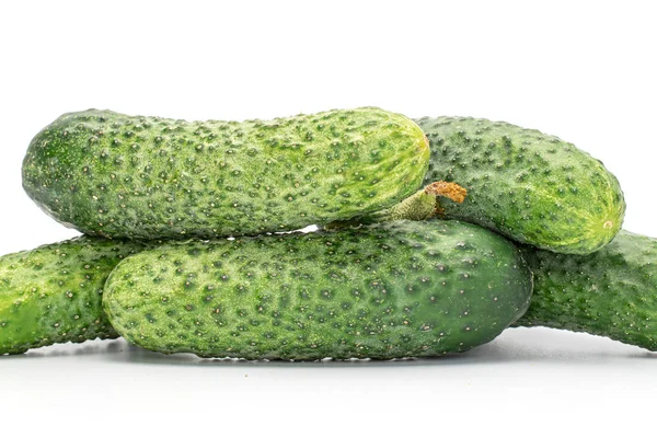 Fresh pickling cucumber isolated on white — Stock Photo, Image