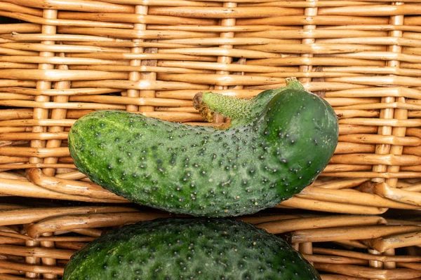 Свіжий маринуючий огірок з плетеним ротангом — стокове фото