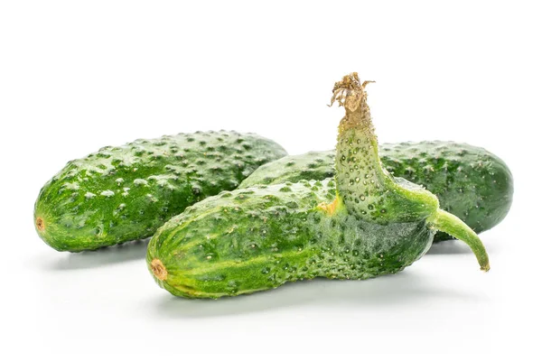 Verse groene komkommer geïsoleerd op wit — Stockfoto