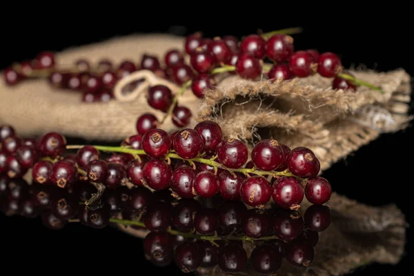 Gelap segar redcurrant diisolasi pada kaca hitam — Stok Foto