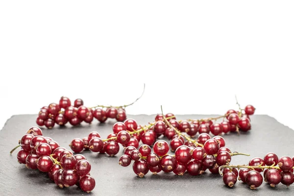 Ribes rosso scuro fresco isolato su bianco — Foto Stock