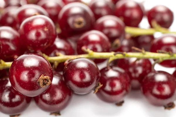 Cassis frais isolé sur blanc — Photo