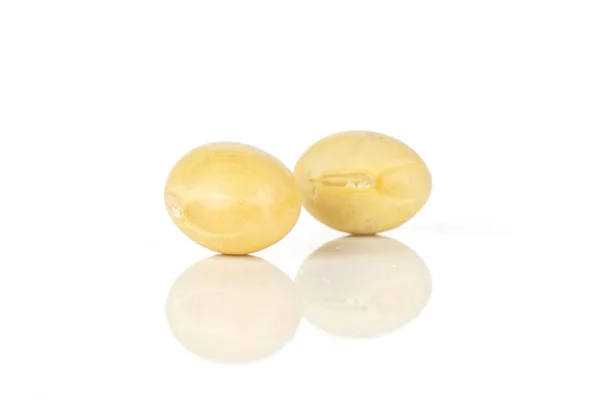 Ham sarı soya fasulyesi beyaz izole — Stok fotoğraf