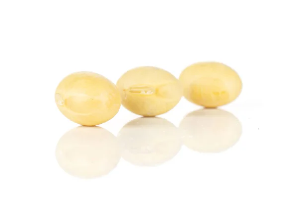 Fagiolo di soia giallo grezzo isolato su bianco — Foto Stock