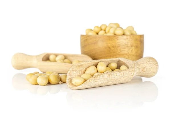 生黄色大豆を白に分離 — ストック写真