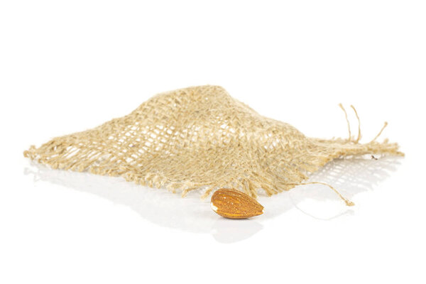 Brown almond nut isolated on white