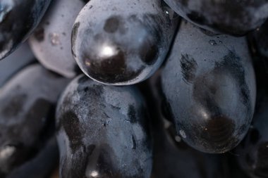 İzole edilmiş taze siyah şarap üzümü.