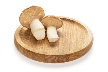 Kral trompet mantarı beyazda izole