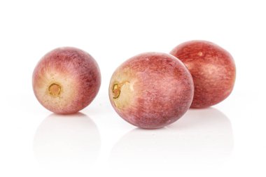 Beyaz şarap üzümü.