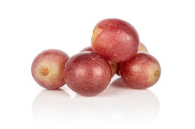 Beyaz şarap üzümü.