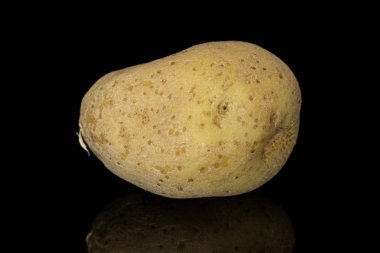 Siyah camla izole edilmiş çiğ kahverengi patates.