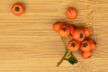 Kahverengi ağaçta yabani turuncu rowanberry