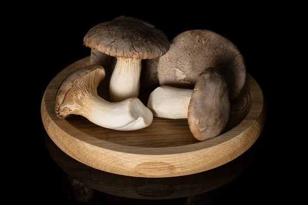 King trumpet mushroom isolated on black glass