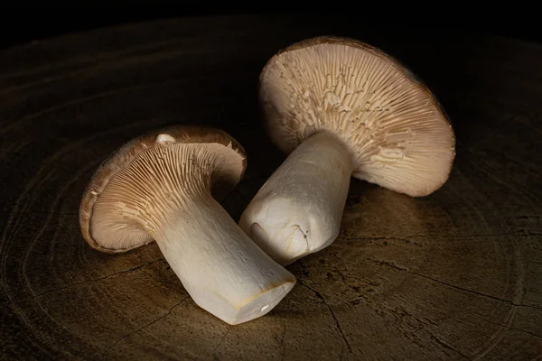 King trumpet mushroom isolated on black glass