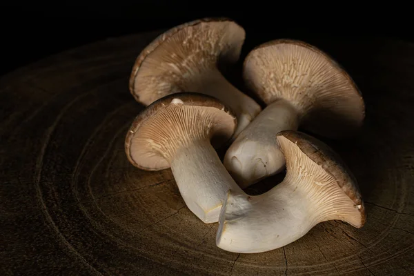 King trumpet mushroom isolated on black glass