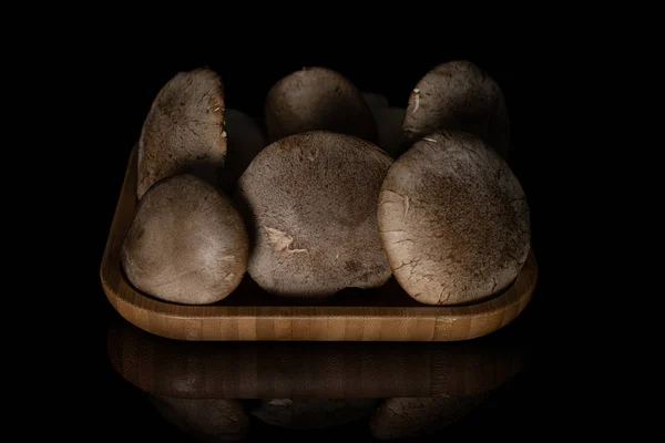 King trumpet mushroom isolated on black glass