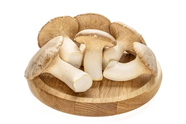 Champignon trompette roi isolé sur blanc — Photo