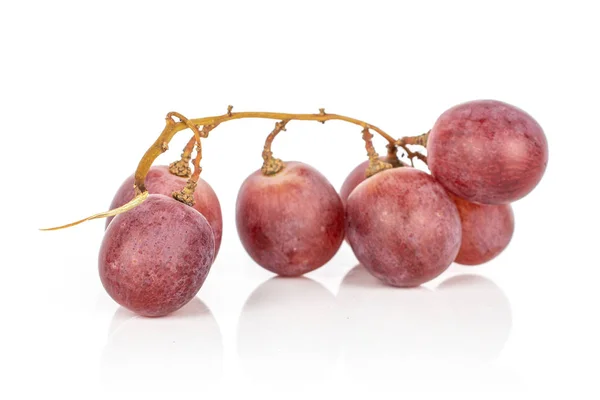Розовый виноград, изолированный на белом — стоковое фото