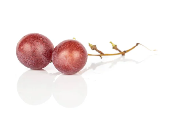Розовый виноград, изолированный на белом — стоковое фото
