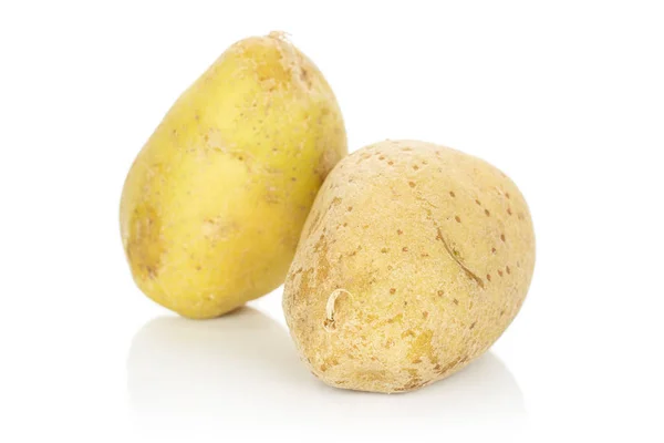 Batata marrom crua isolada em branco — Fotografia de Stock