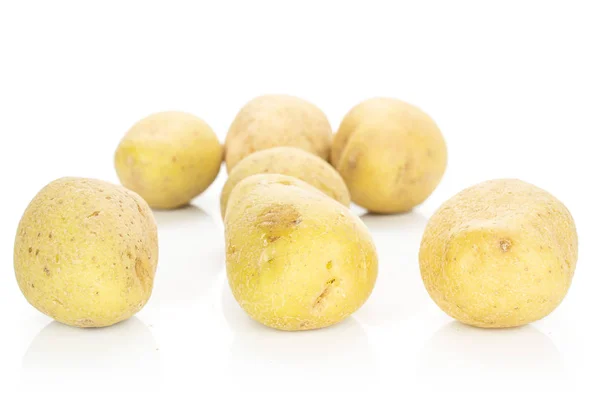 Batata marrom crua isolada em branco — Fotografia de Stock