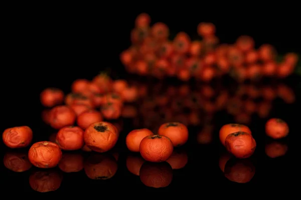 Rowanberry laranja selvagem isolado em vidro preto — Fotografia de Stock