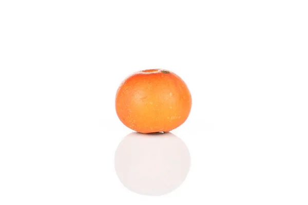 Wild orange rowanberry diisolasi pada putih — Stok Foto