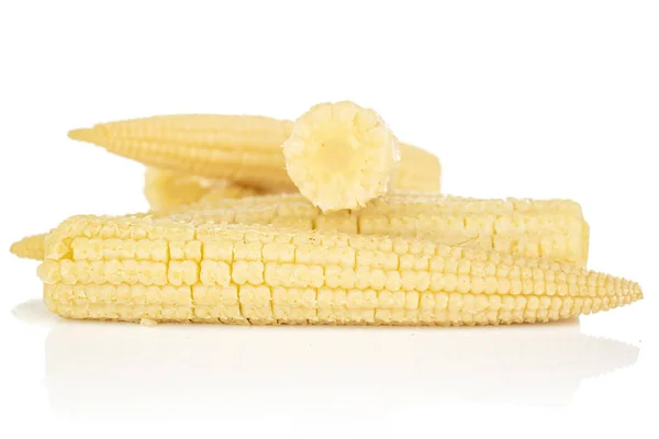 Маринованная кукуруза изолирована на белом — стоковое фото