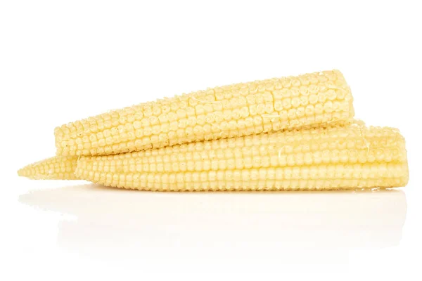 Marynowana kukurydza niemowlęca izolowana na białym — Zdjęcie stockowe