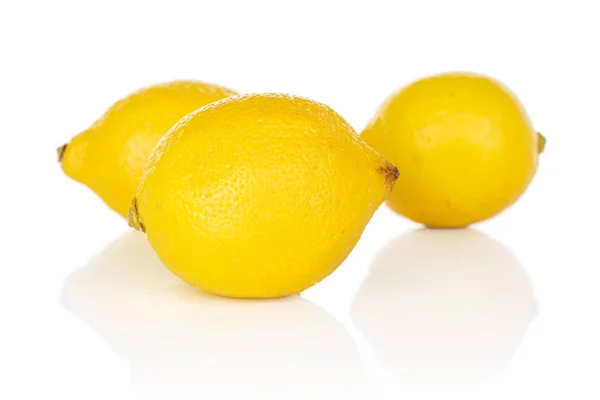 Свіжий жовтий лимон ізольований на білому — стокове фото