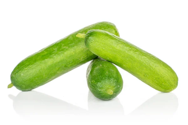 Verse mini komkommer geïsoleerd op wit — Stockfoto