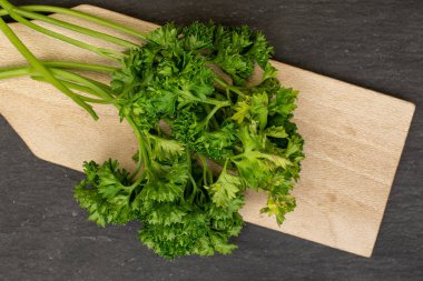 Gri taşta taze yeşil maydanoz