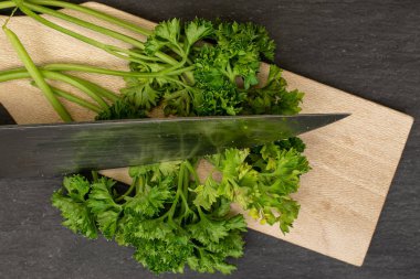 Gri taşta taze yeşil maydanoz