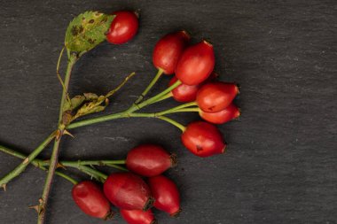 Gri taşın üzerinde taze kırmızı gül.