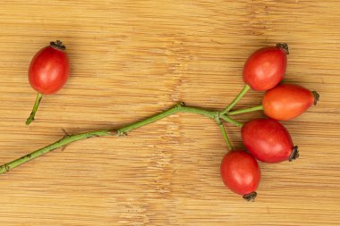 Taze kırmızı güllük gülistanlık