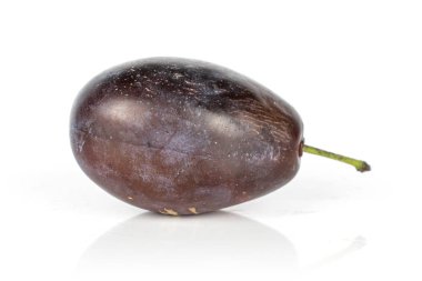 Tatlı mor erik bembeyaz yalıtılmış