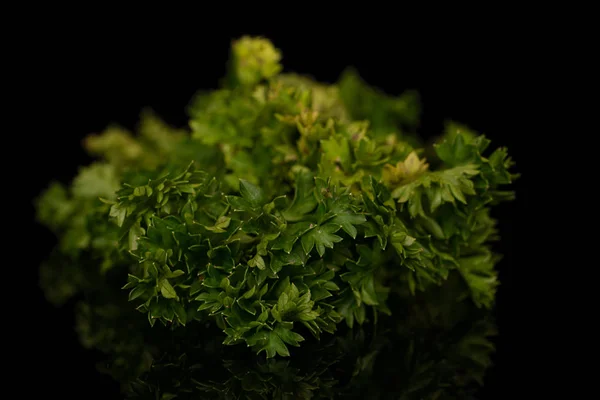 Salsa verde fresca isolada em vidro preto — Fotografia de Stock