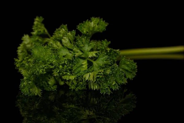 Fresh green parsley isolated on black glass — Stock Photo, Image