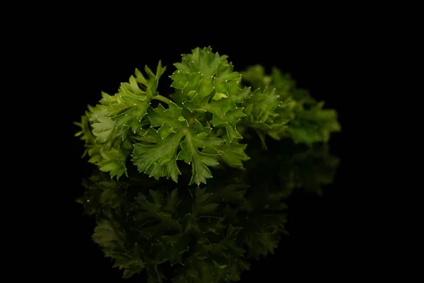 黒ガラスに隔離された新鮮な緑のパセリ — ストック写真