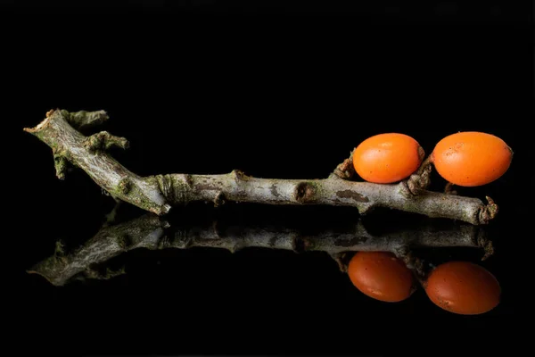 Sanddornbeere isoliert auf schwarzem Glas — Stockfoto