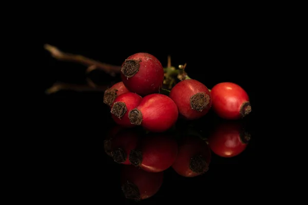 Rosas vermelhas frescas isoladas em vidro preto — Fotografia de Stock