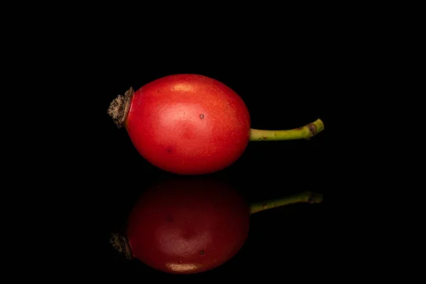 Rosas vermelhas frescas isoladas em vidro preto — Fotografia de Stock