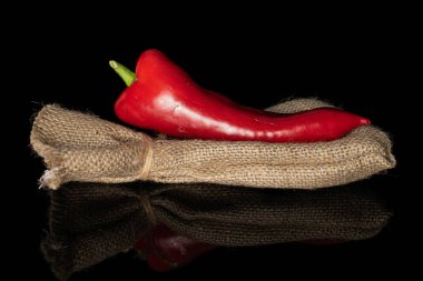 Tatlı kırmızı dolma biber siyah camda izole edilmiş.