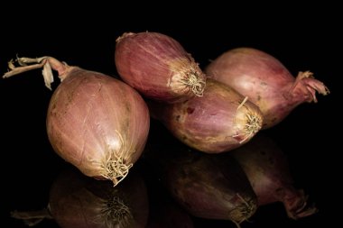Siyah camda izole edilmiş taze kahverengi arpacık soğanı.